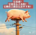 附圖