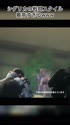 附圖