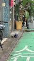 附圖