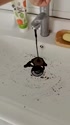 附圖