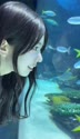 附圖