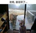 附圖