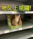 附圖