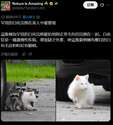 附圖