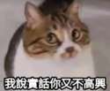 附圖