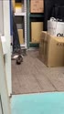 附圖