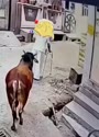 附圖