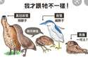 附圖