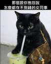 附圖