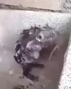 附圖