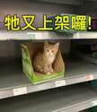附圖