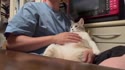 附圖