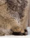 附圖