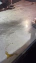 附圖