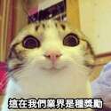 附圖