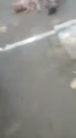 附圖