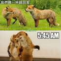附圖