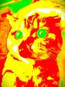 附圖