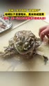 附圖