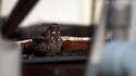 附圖