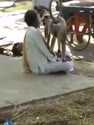 附圖