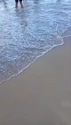 附圖