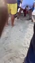 附圖