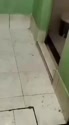 附圖