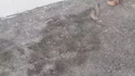 附圖