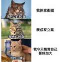 附圖