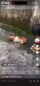 附圖