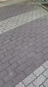 附圖
