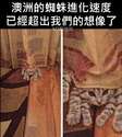 附圖