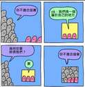 附圖
