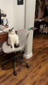 附圖