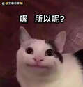 附圖