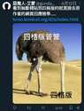 附圖