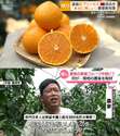 附圖