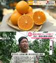 附圖