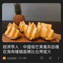 附圖