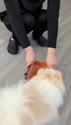 附圖