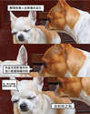 附圖