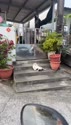 附圖