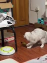 附圖