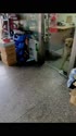 附圖