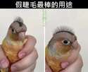 附圖