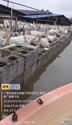 附圖