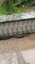 附圖