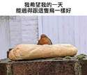 附圖