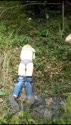 附圖